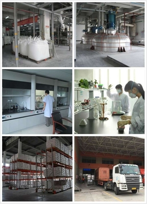 94/6 Excellent Leveling Saturated TGIC Polyester Resin For Powder Coatings
